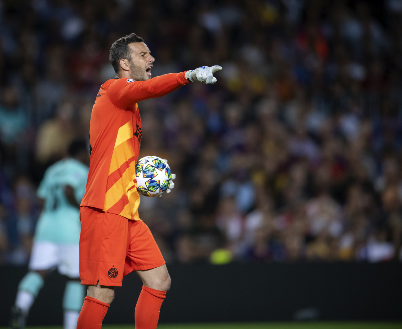 很努力也很 很努力也很