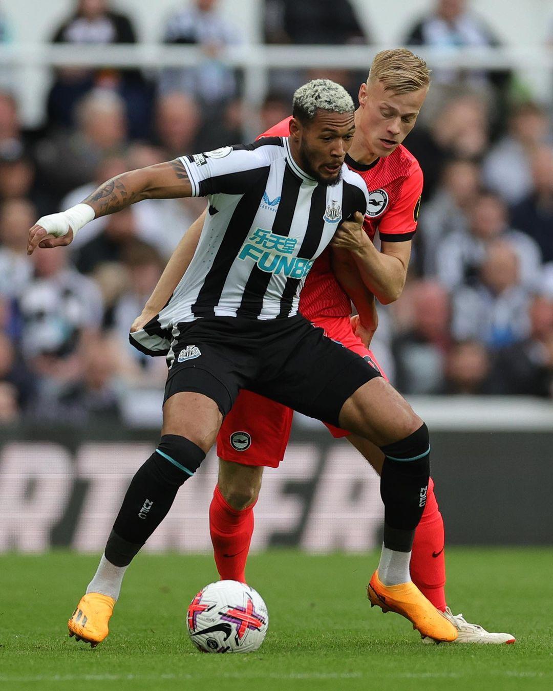 逼抢体系 逼抢体系